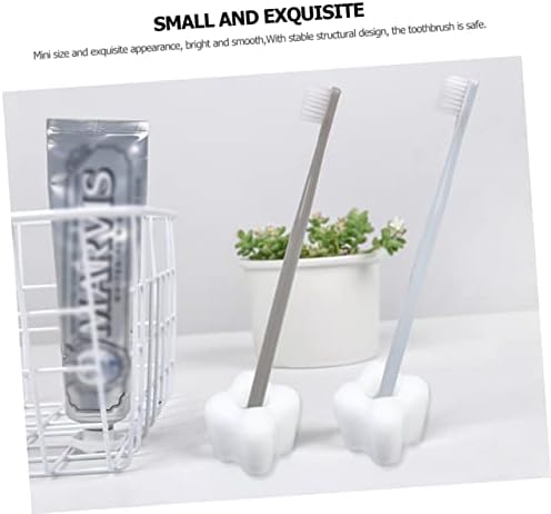 4-Piece Creative Tooth-Shaped Holder
