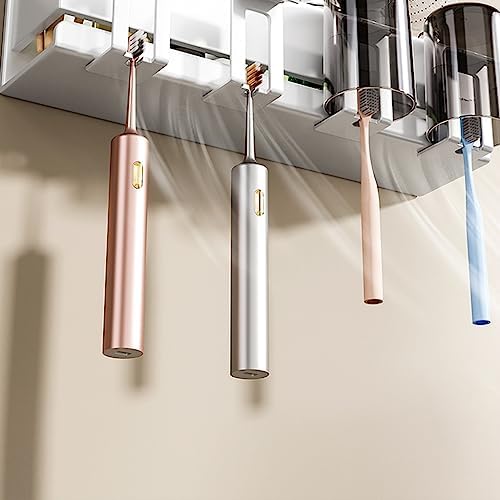Eruption Protective Wall-Mounted Holder Small