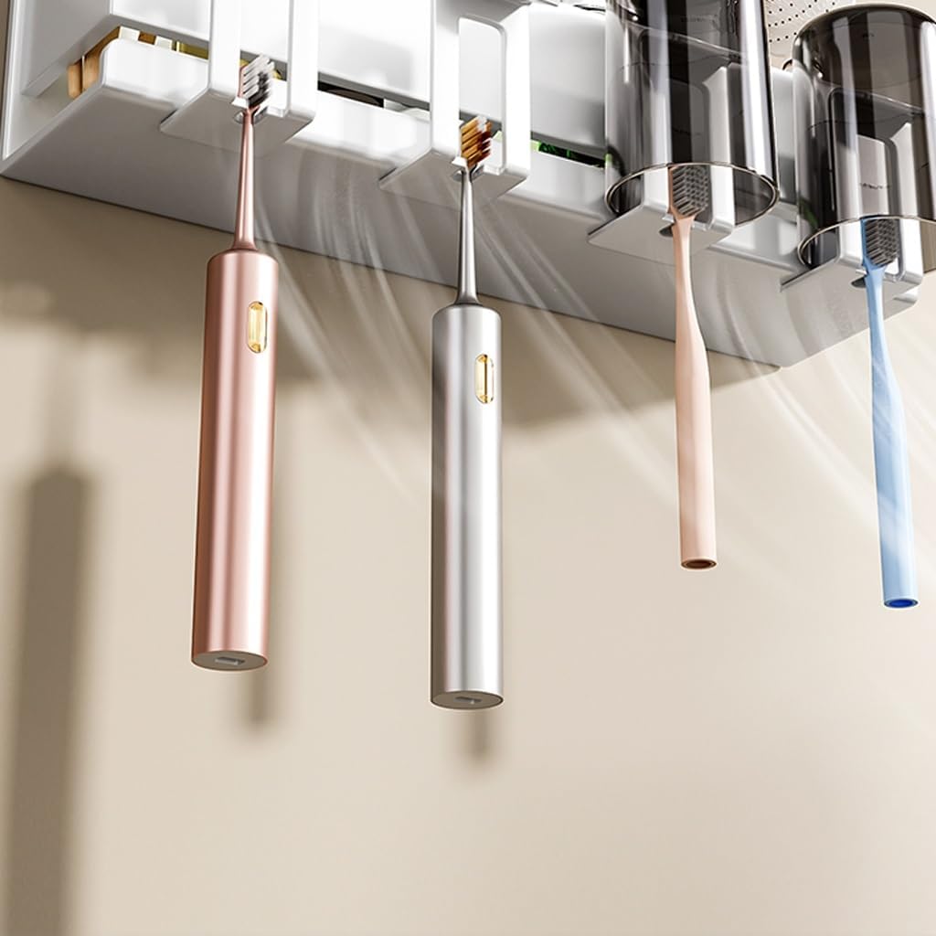 Eruption Protective Wall-Mounted Holder Small