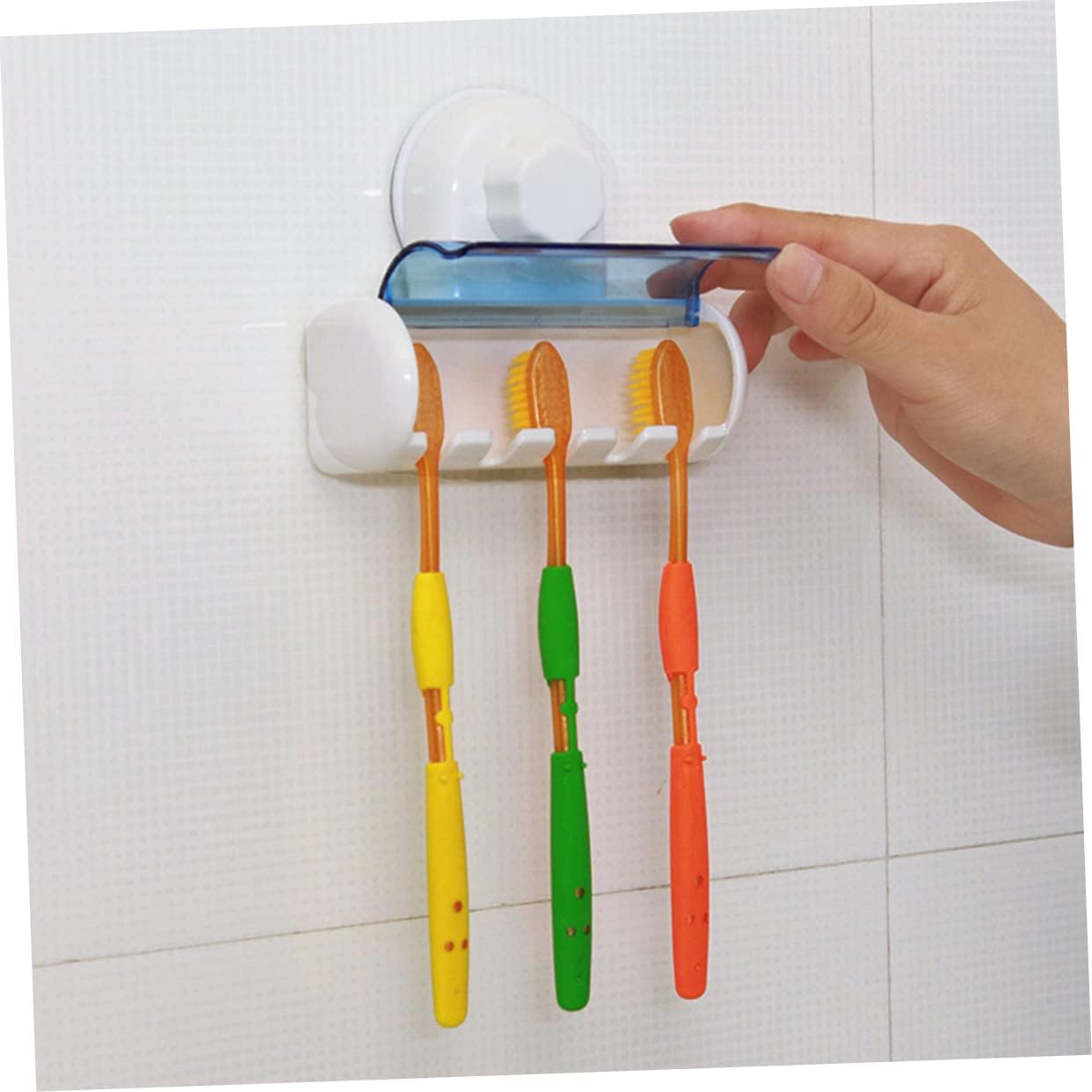 Elegant Suction-Cup Toothbrush and Toothpaste Holder